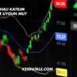 Artemis Halı Katılım Endeksine Uygun mu?