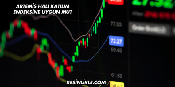 Artemis Halı Katılım Endeksine Uygun mu?