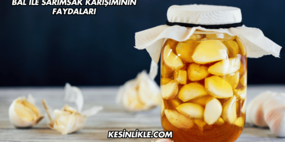 Bal ile Sarımsak Karışımının Faydaları