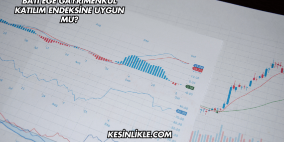 Batı Ege Gayrimenkul Katılım Endeksine Uygun mu?