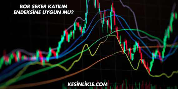 Bor Şeker Katılım Endeksine Uygun mu?