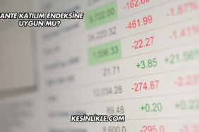 CANTE Katılım Endeksine Uygun mu?