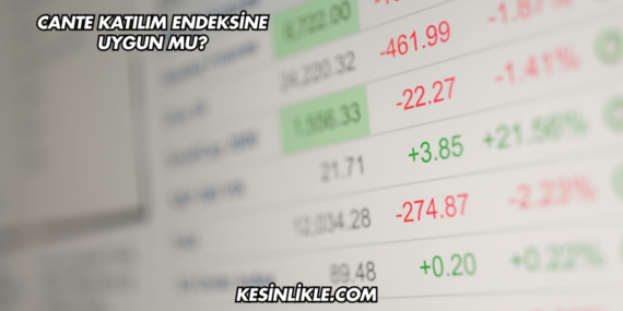 CANTE Katılım Endeksine Uygun mu?