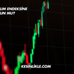 ÇATES Katılım Endeksine Uygun mu?