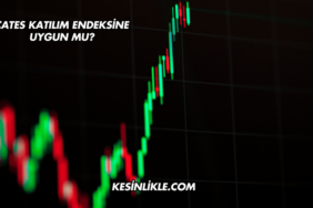 ÇATES Katılım Endeksine Uygun mu?