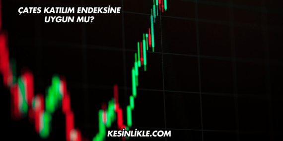 ÇATES Katılım Endeksine Uygun mu?