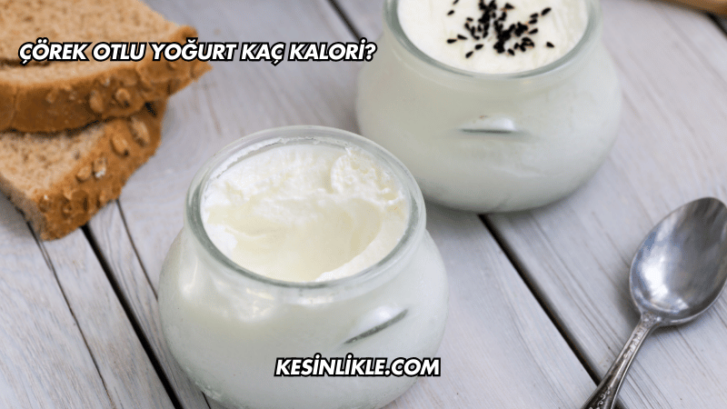 Çörek Otlu Yoğurt Kaç Kalori?