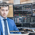 Dofer Katılım Endeksine Uygun mu?