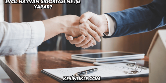 Evcil Hayvan Sigortası Ne İşe Yarar?