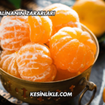 Fazla Mandalinanın Zararları