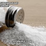 Fazla Tuzun Zararları Nelerdir?