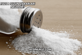 Fazla Tuzun Zararları Nelerdir?