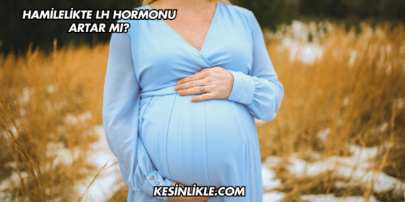 Hamilelikte LH Hormonu Artar mı?