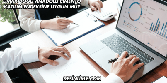 Limak Doğu Anadolu Çimento Katılım Endeksine Uygun mu?