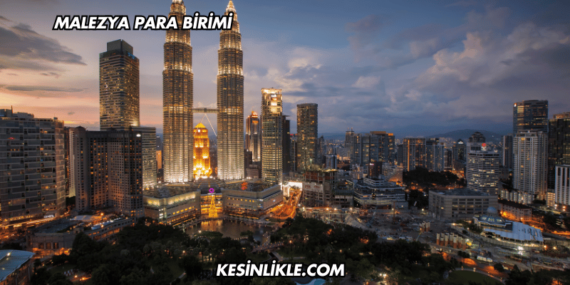 Malezya Para Birimi
