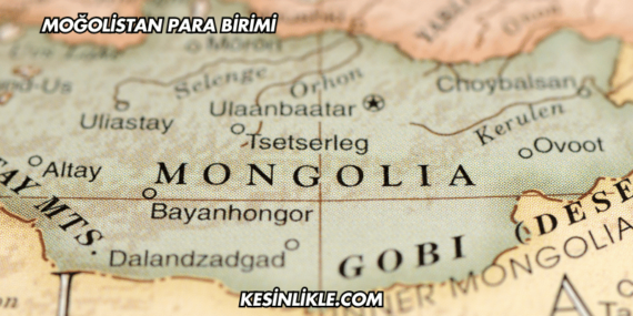 Moğolistan Para Birimi