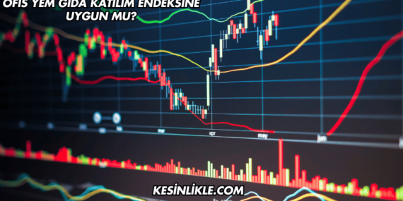 Ofis Yem Gıda Katılım Endeksine Uygun mu?