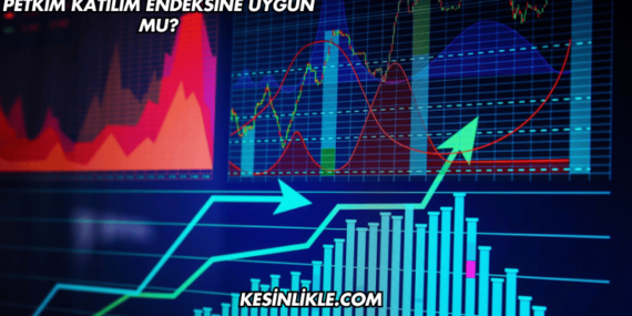 Petkim Katılım Endeksine Uygun mu?