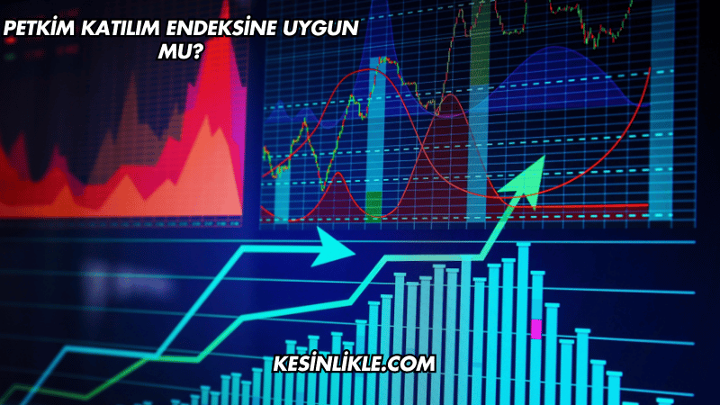 Petkim Katılım Endeksine Uygun mu?