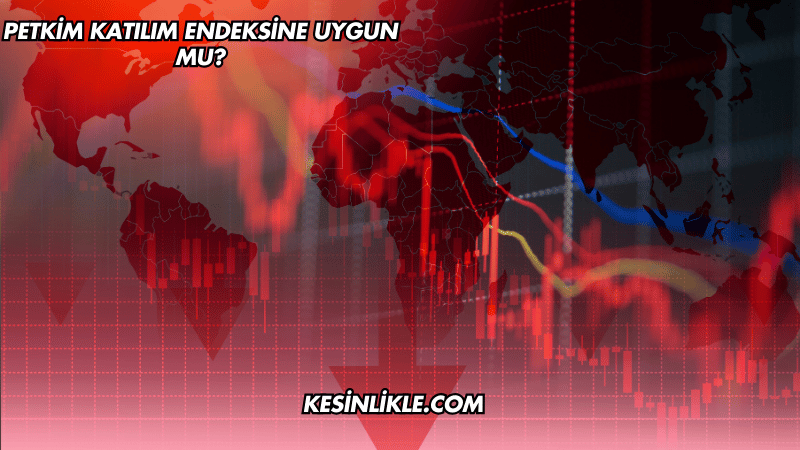 Petkim Katılım Endeksine Uygun mu?