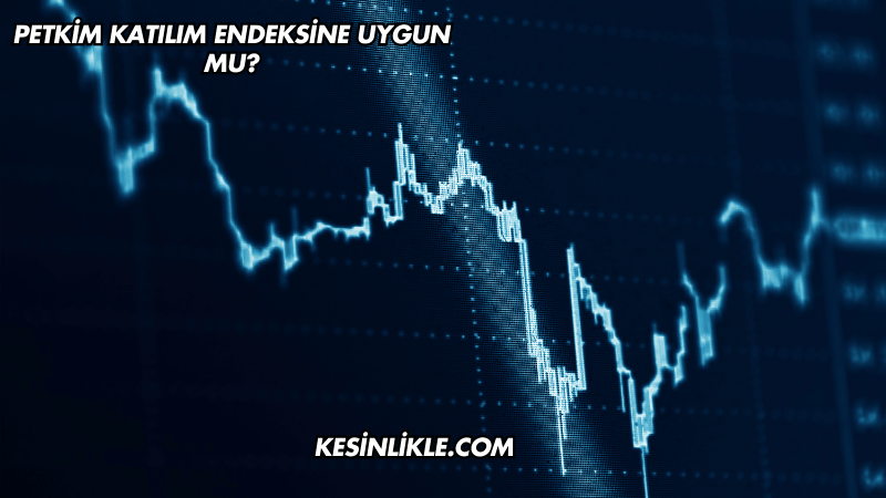Petkim Katılım Endeksine Uygun mu?