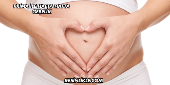Prima ile Hafta Hafta Gebelik