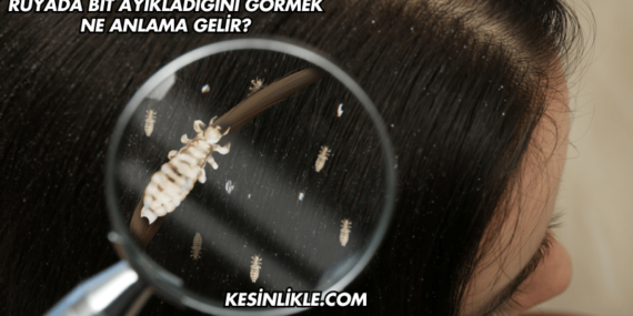 Rüyada Bit Ayıkladığını Görmek Ne Anlama Gelir?