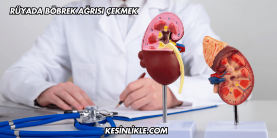 Rüyada Böbrek Ağrısı Çekmek