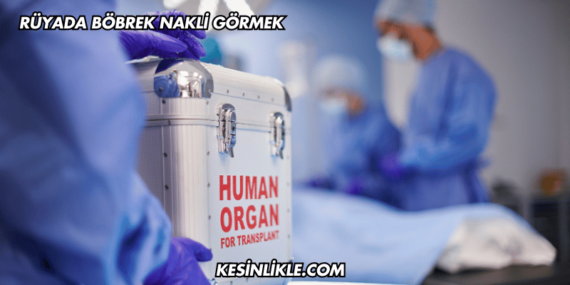 Rüyada Böbrek Nakli Görmek