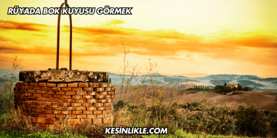 Rüyada Bok Kuyusu Görmek
