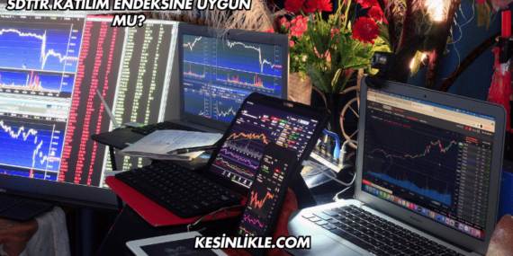 SDTTR Katılım Endeksine Uygun mu?
