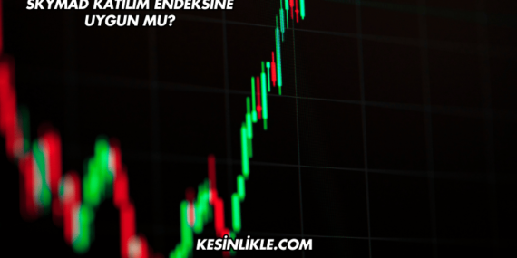 SKYMAD Katılım Endeksine Uygun mu?