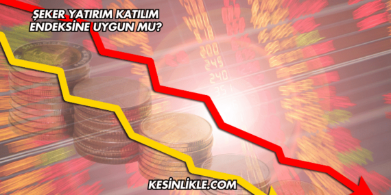 Şeker Yatırım Katılım Endeksine Uygun mu?