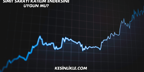 Simit Sarayı Katılım Endeksine Uygun mu?