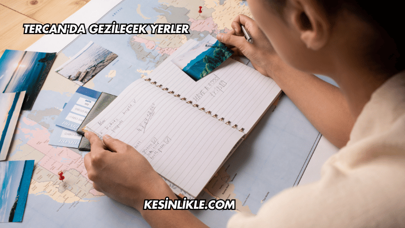 Tercan'da Gezilecek Yerler