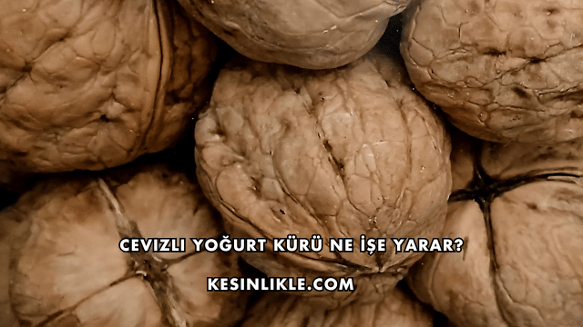 Cevizli Yoğurt Kürü Ne İşe Yarar?
