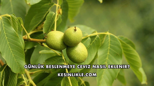 Günlük Beslenmeye Ceviz Nasıl Eklenir?